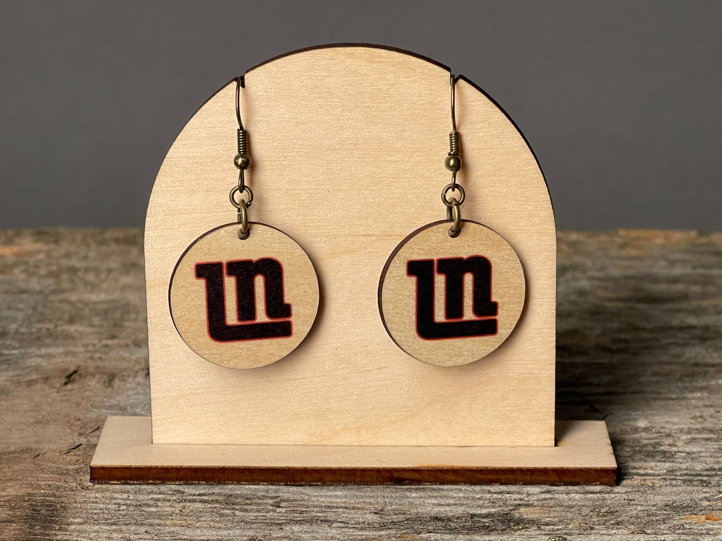 Lakeville North Circle dangle earrings